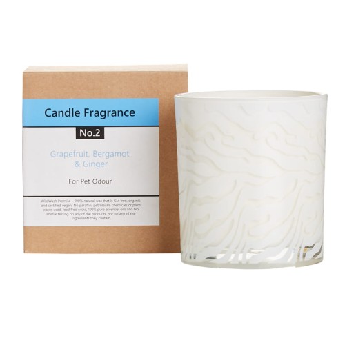 Frag no.2 Candle 800jpeg copy.jpg