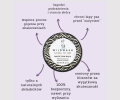 balsam do łap dla psa wildwash.png