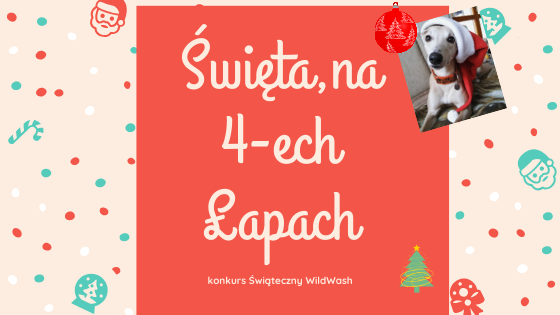 Konkurs "Święta na 4 Czterech Łapach"